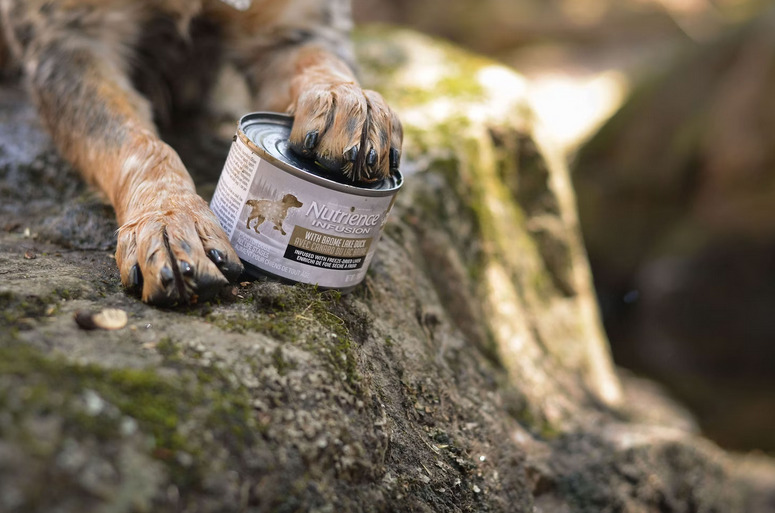 canned dog food