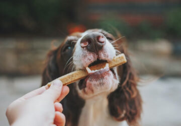 stick