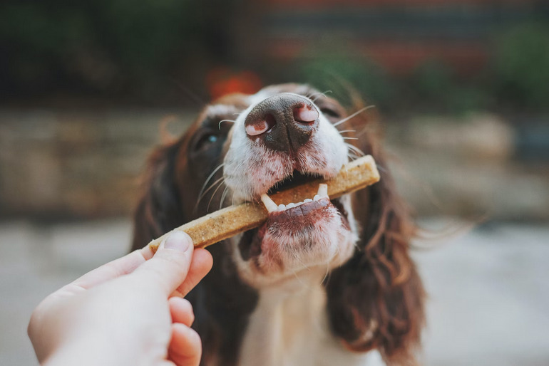 stick